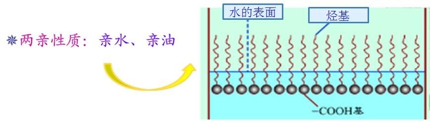<a href='http://m.wbfire.com/product/product-0001,0011,0018.shtml' class='keys' title='點(diǎn)擊查看關(guān)于潤濕劑的相關(guān)信息' target='_blank'>潤濕劑</a>